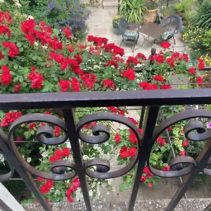 La Maison Des Augustins 4 Stars Et Fitness Avignon